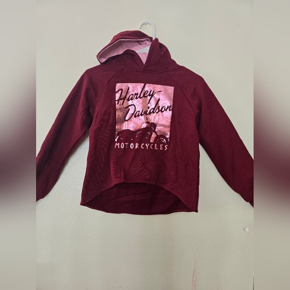 Harley-Davidson Red Sweatshirt Casual Pullover - Picture 1 of 2